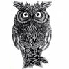 Frightening Owl