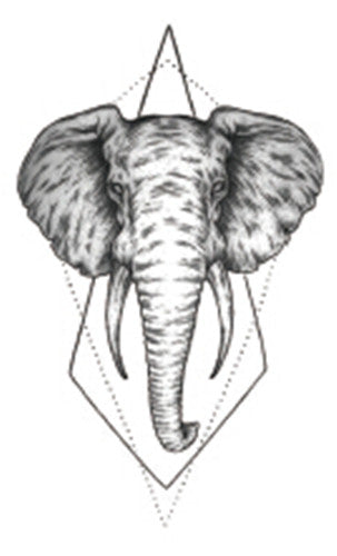 Geometric Elephant