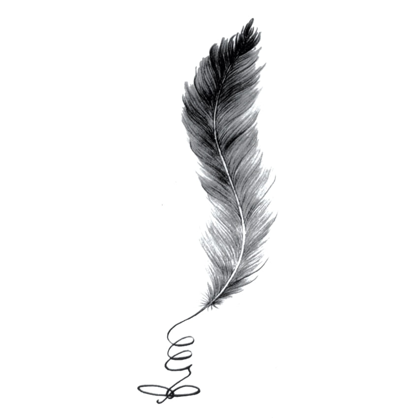 Elegant Feather