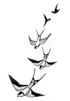 Cute Swallows