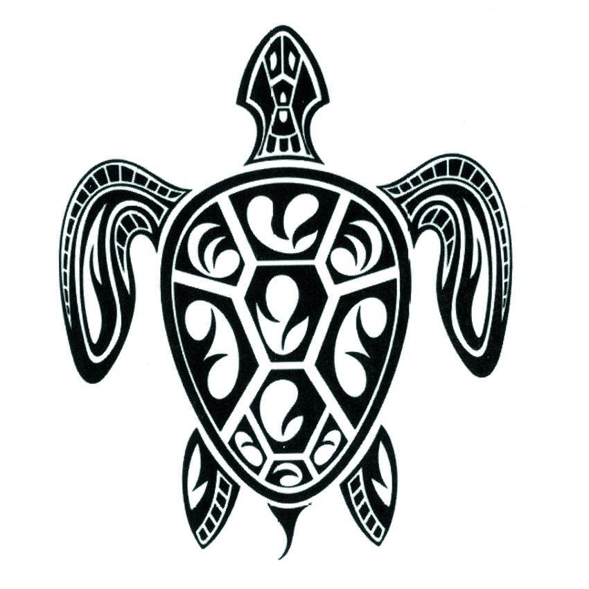 Polynesian Turtle